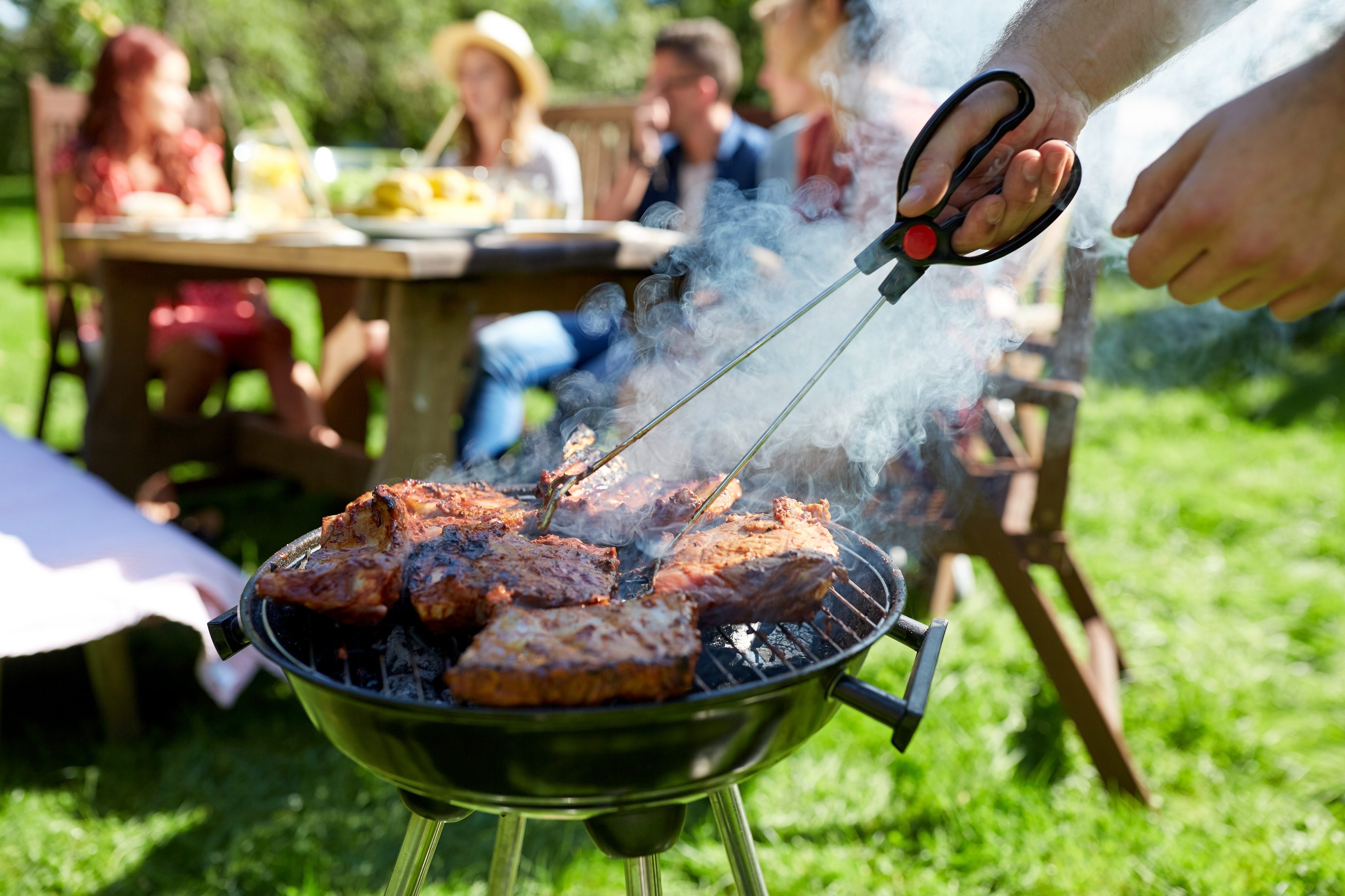 Bbq At The Park Template Free Psd Download