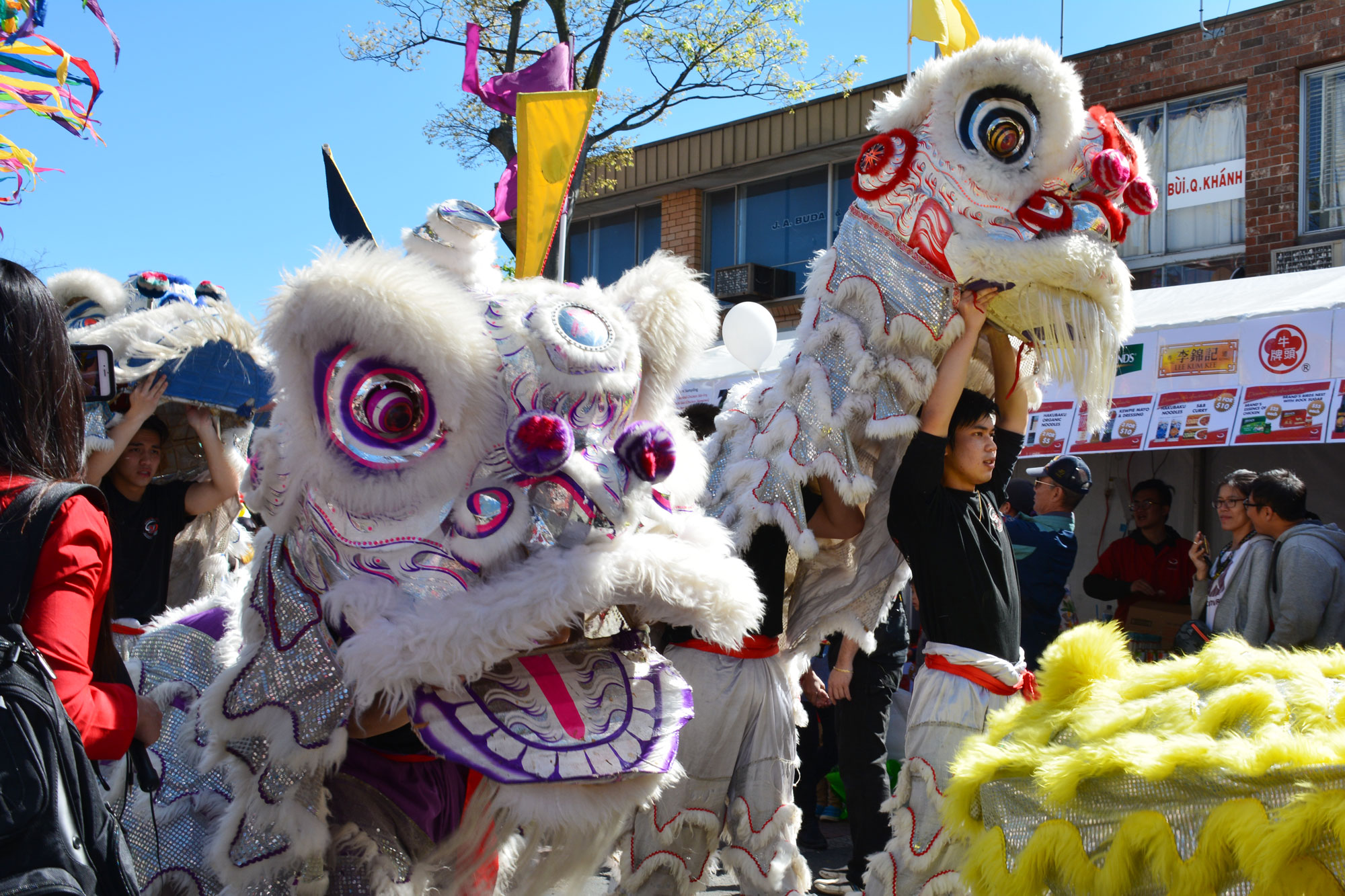 Moon Festivals Around Australia