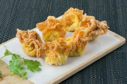 Deep Fried Wonton