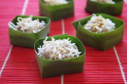 Steamed Chinese Lunar New Year Cake with Coconut (Steamed Nian Gao Balls with Coconut)
