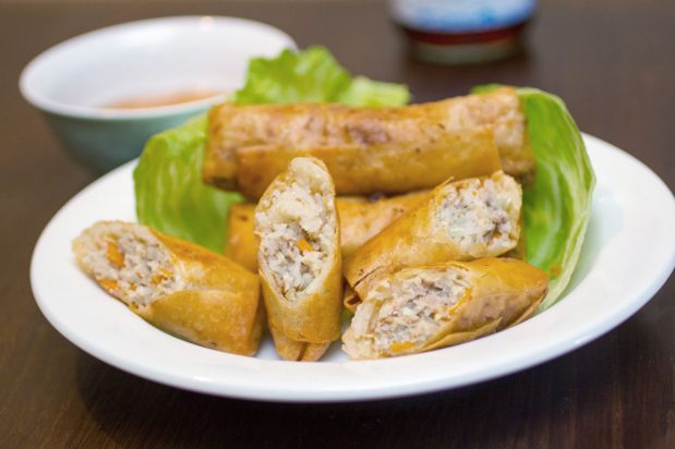 Vietnamese Fried Spring Rolls (Nem rán / Chả giò)
