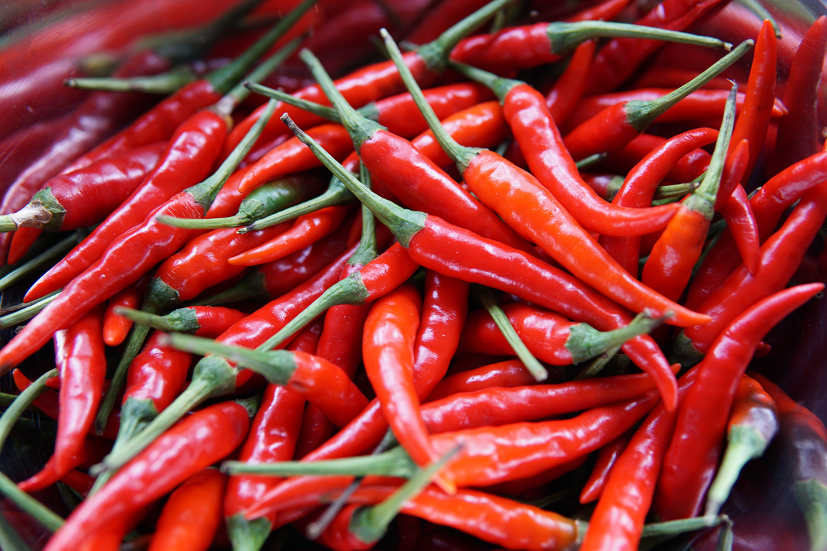 Bird's Eye Chilli Bird's Eye Chilli