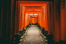 Must-Visit in Japan: Fushimi Inari