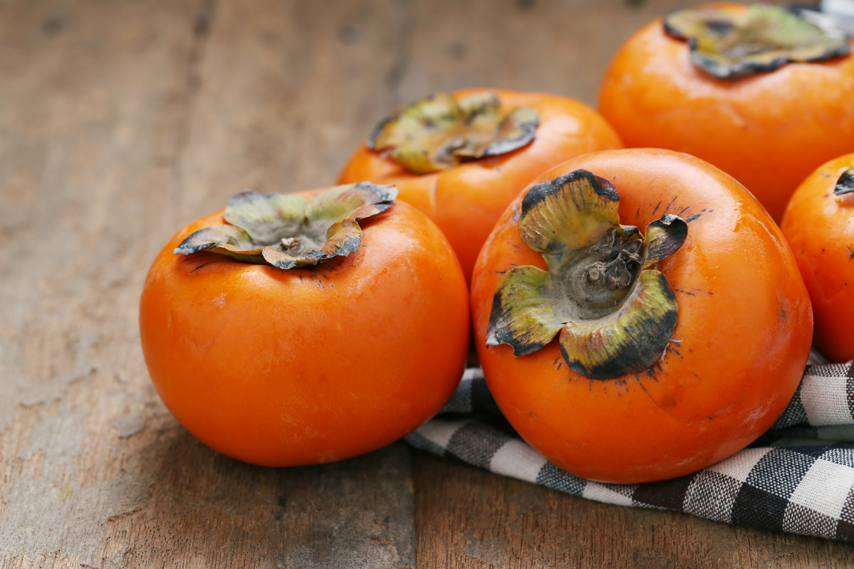 Welcome Home Some Prosperity with the Persimmons