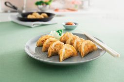 Chinese Fried Dumplings