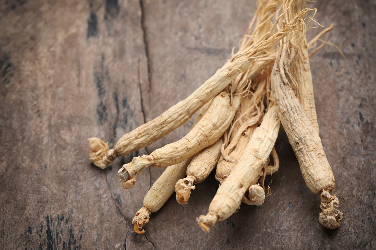 Ginseng Ginseng
