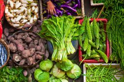Spring Vegetables