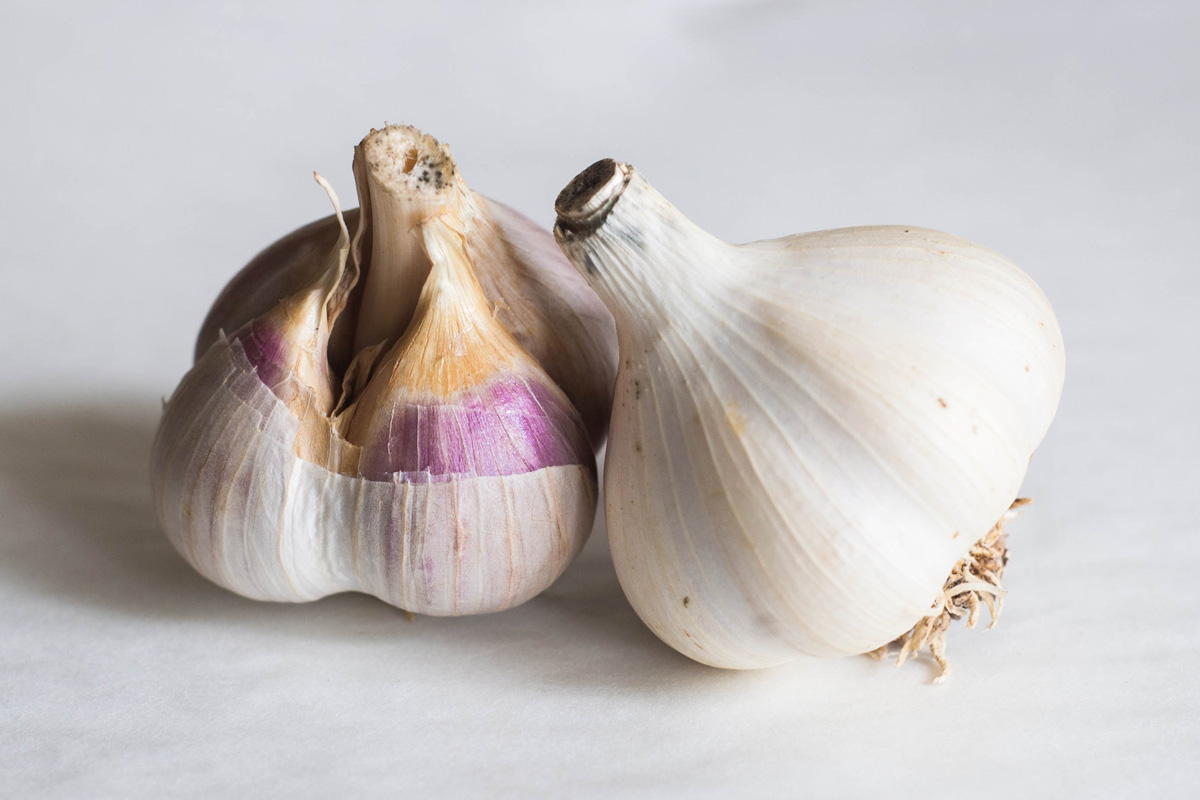 Garlic Garlic