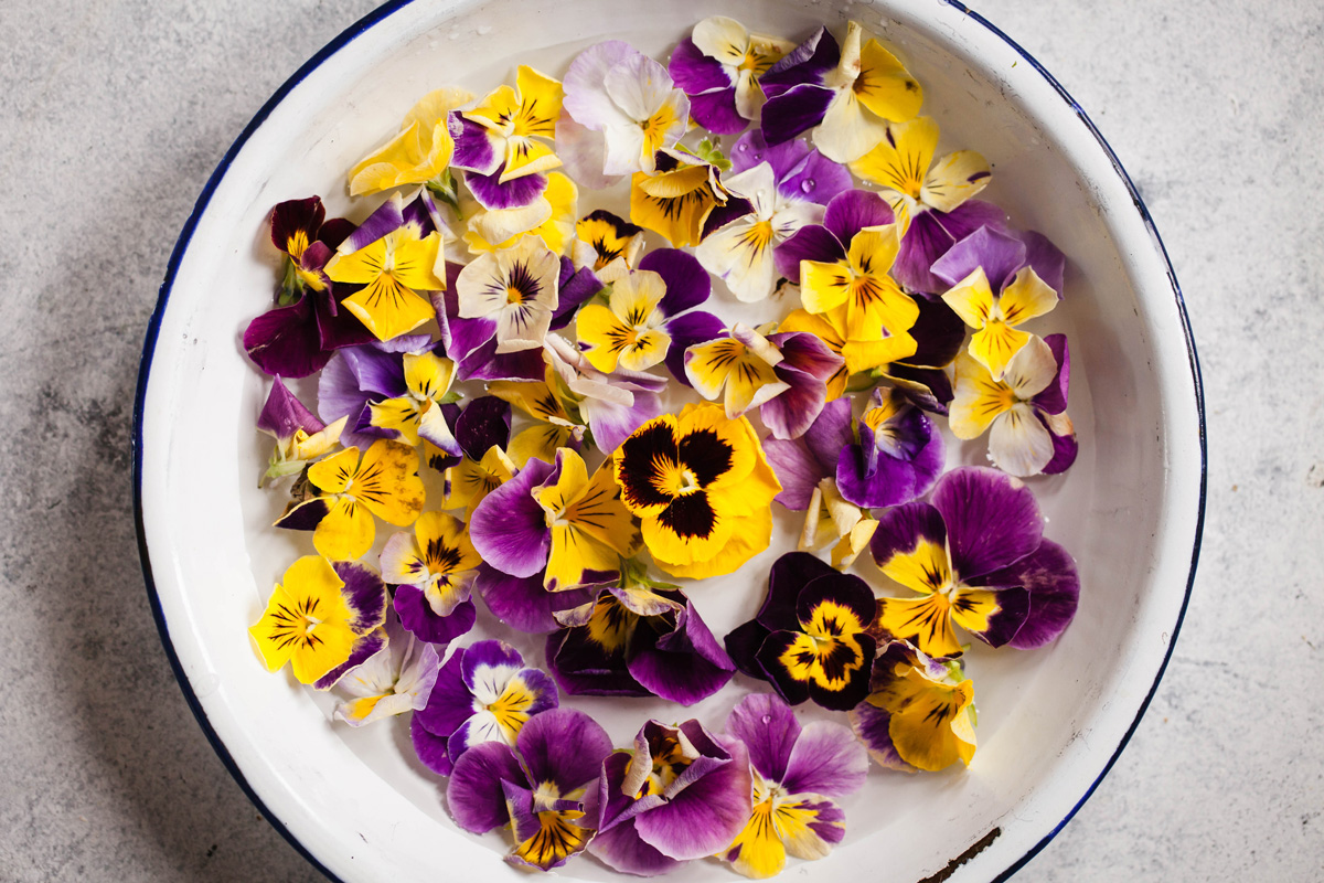 Edible flowers: our top 20 flowers you can eat - Plantura