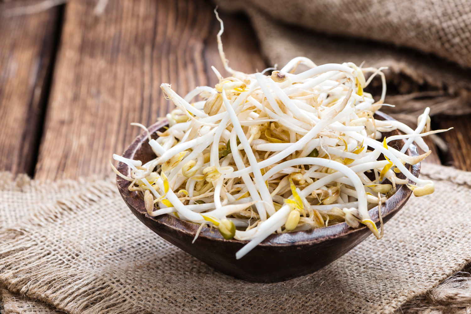 Mung Bean Sprout