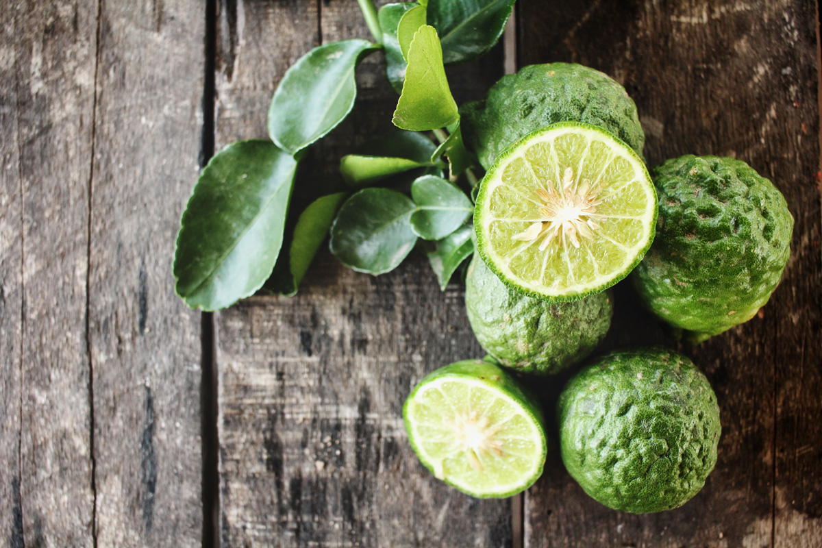 Kaffir Lime Kaffir Lime