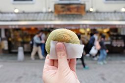 Japanese Art of Mochi Making