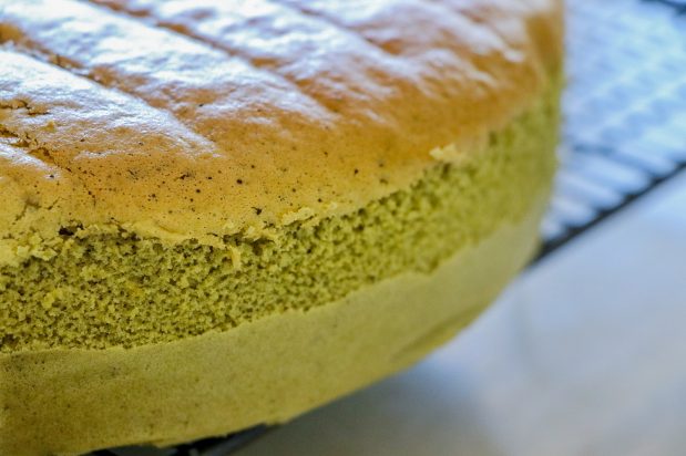Green Tea Sponge Cheesecake