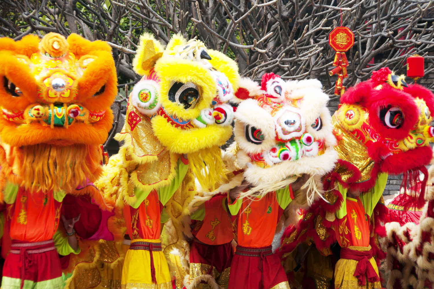 8 Things to Know About Chinese New Year/Lunar New Year for Dummies
