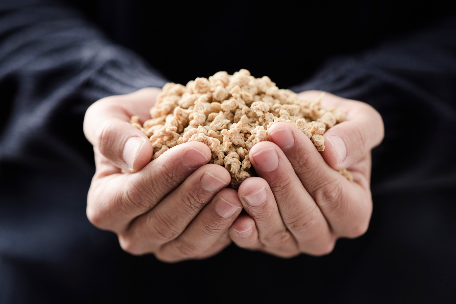 Meat Alternatives Asian Inspirations