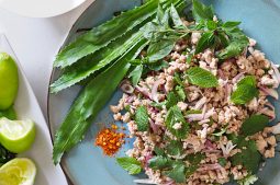 Thai Larb Salad (Larb Moo)