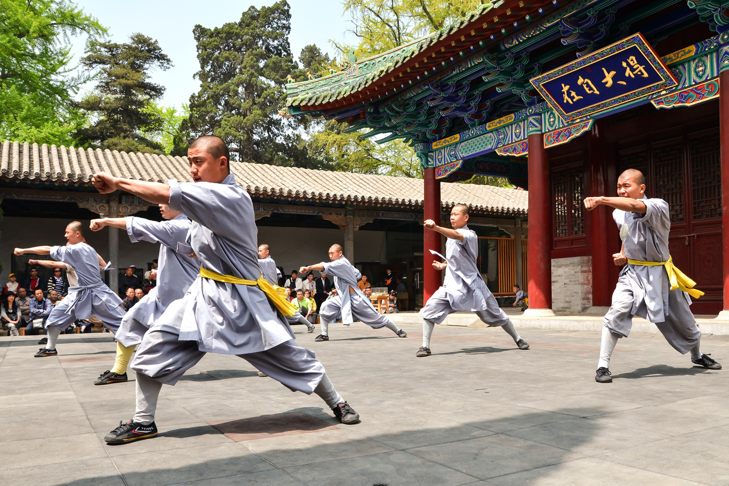 Chinese Martial Art: Kung Fu