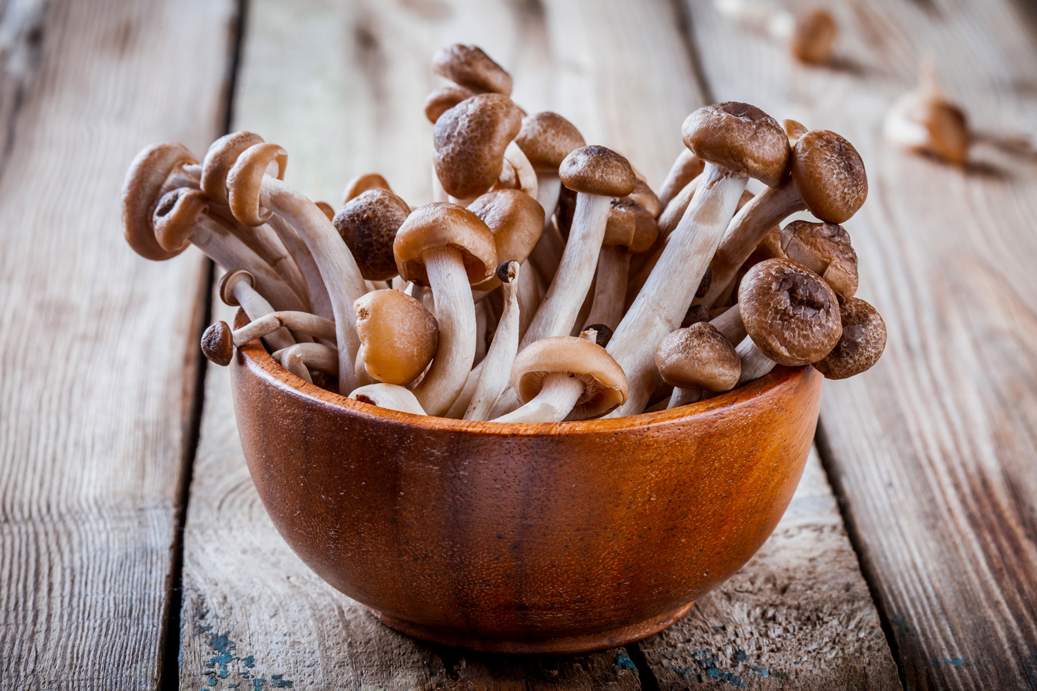 Shimeji Mushrooms