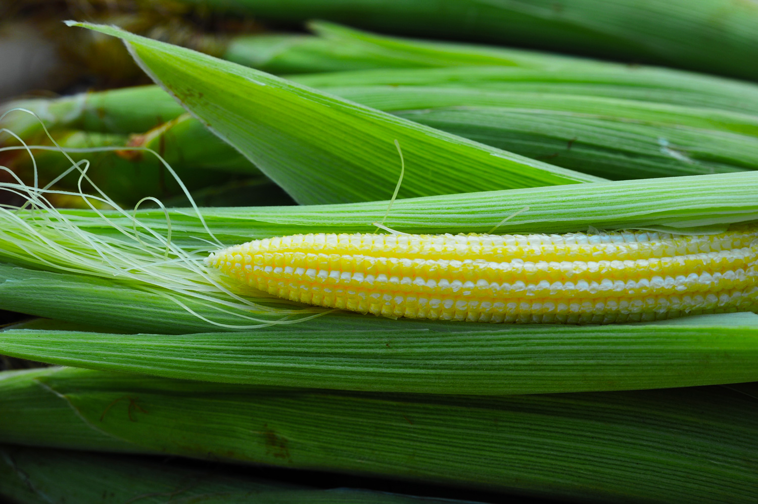 Baby Corn