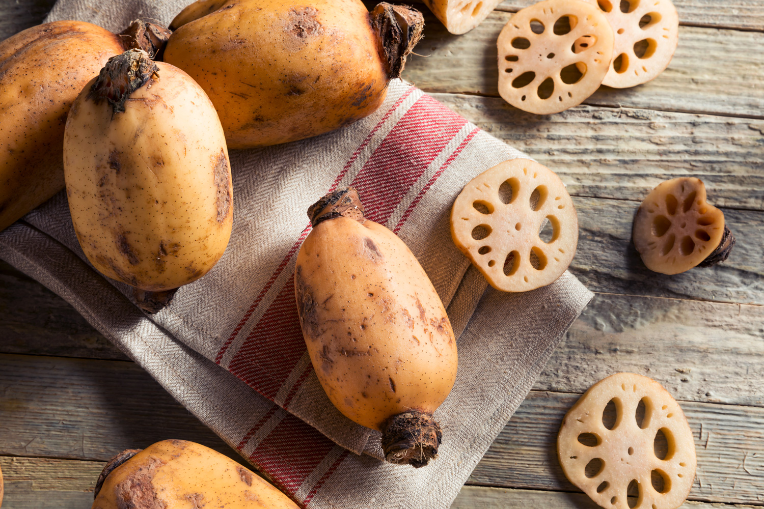 Lotus Root