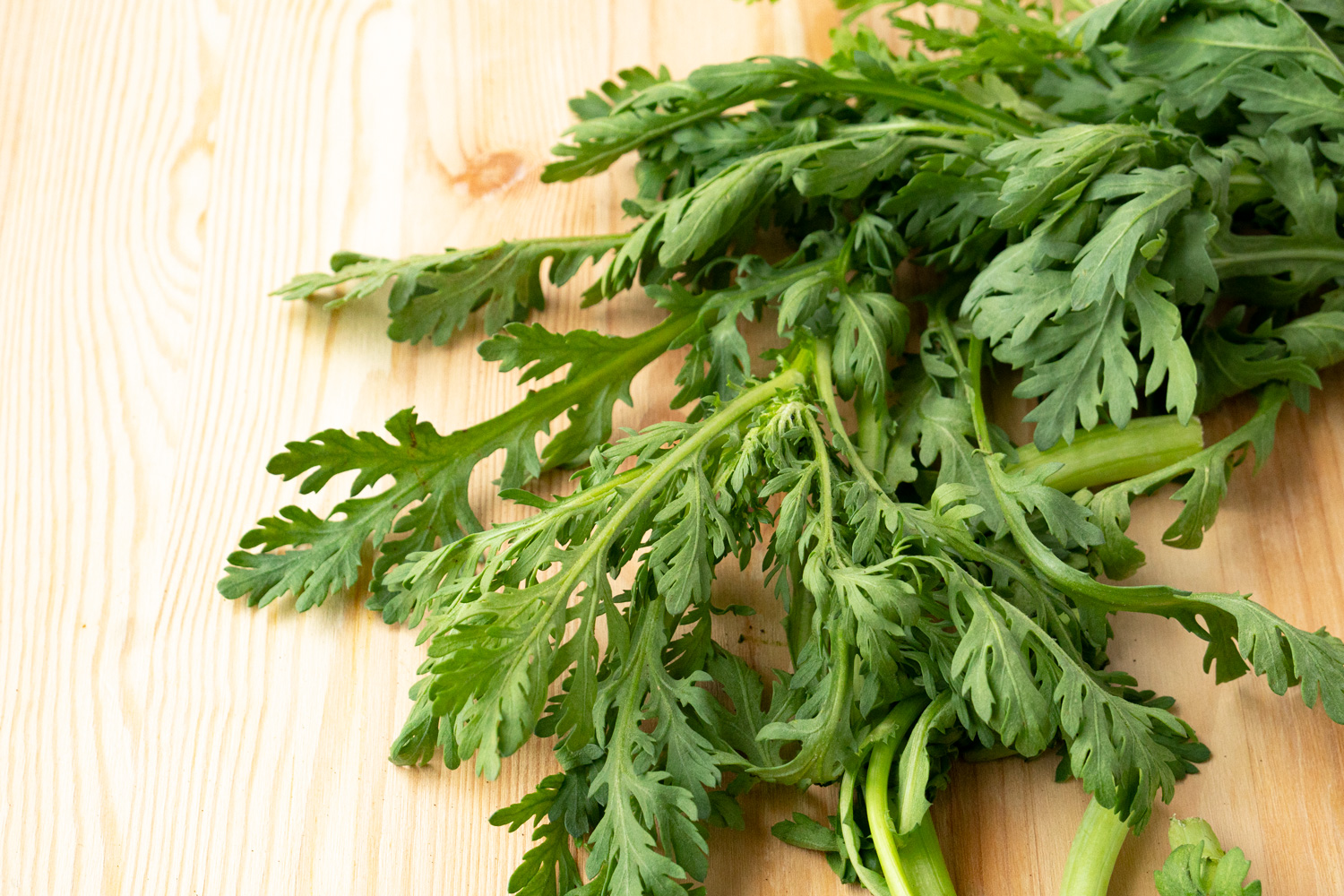 Chrysanthemum Greens