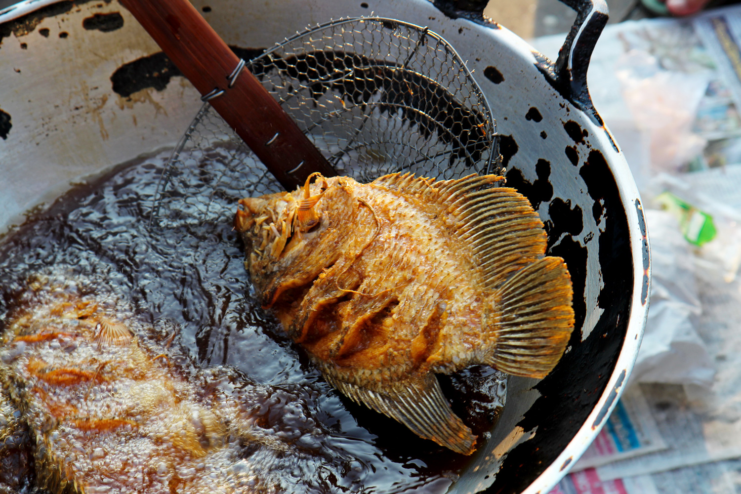 What Is The Healthiest Oil For Deep Frying Fish at Florida Smith blog