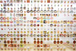 The Ramen Museum