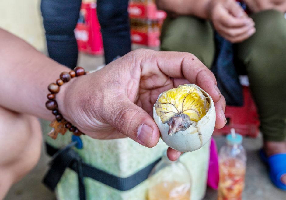 All About Balut