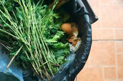 War on Food Waste in Australia