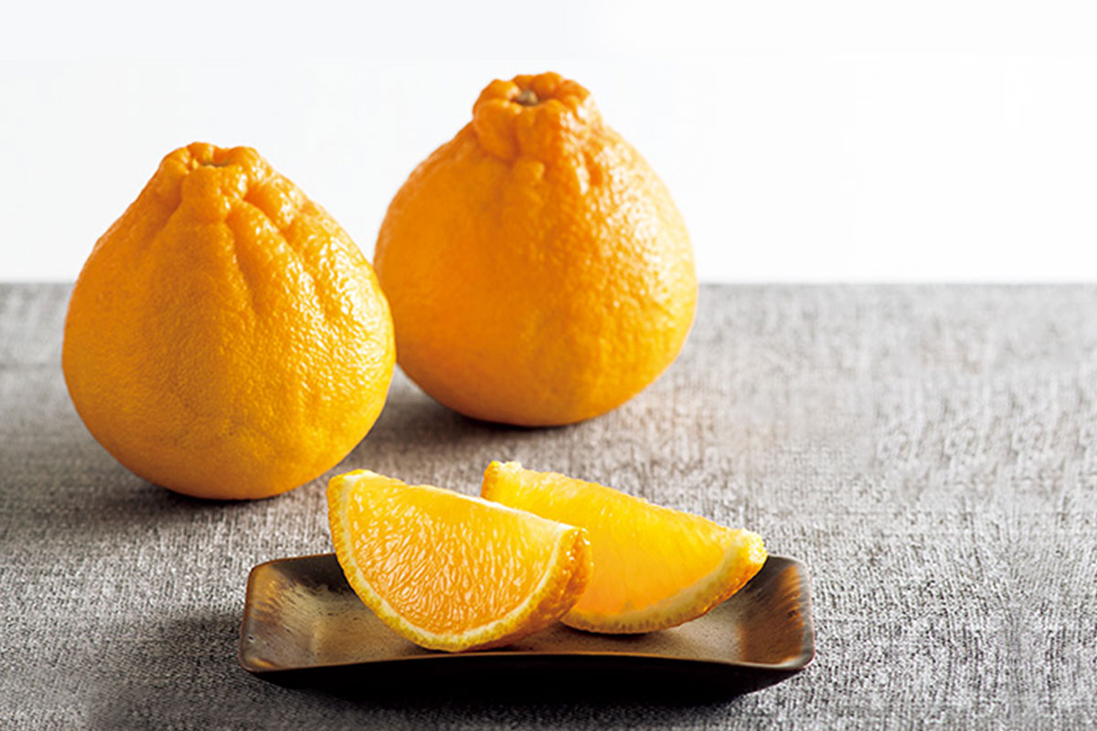 tangerine fruit in cantonese