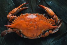 All You Need To Know About Cooking Crabs