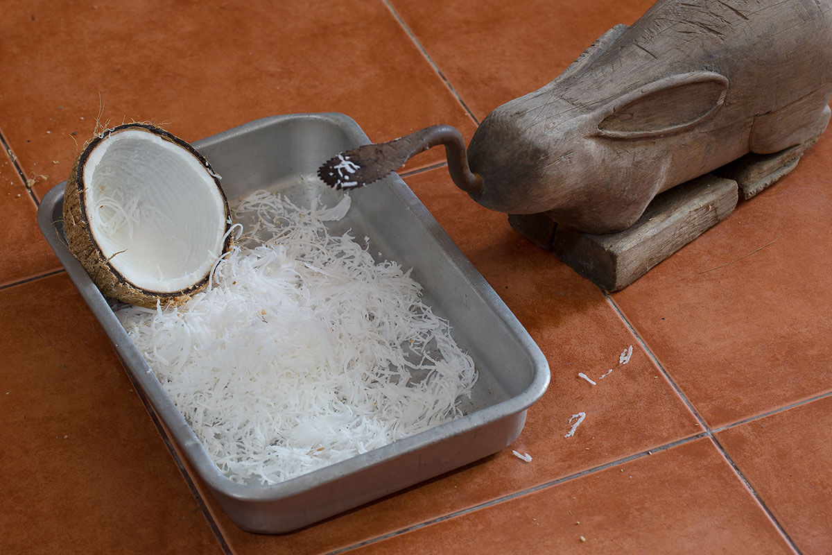 Coconut Grater Rabbit