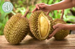 The Exotic Wonder of Thai Durians