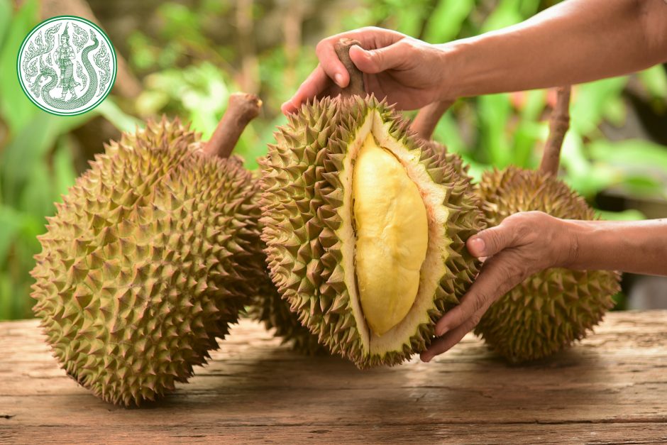 The Exotic Wonder of Thai Durians