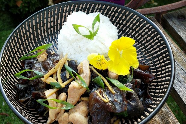 Stir Fried Chicken with Ginger and Black Fungus
