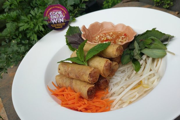 Spring rolls with Noodle and Herbs