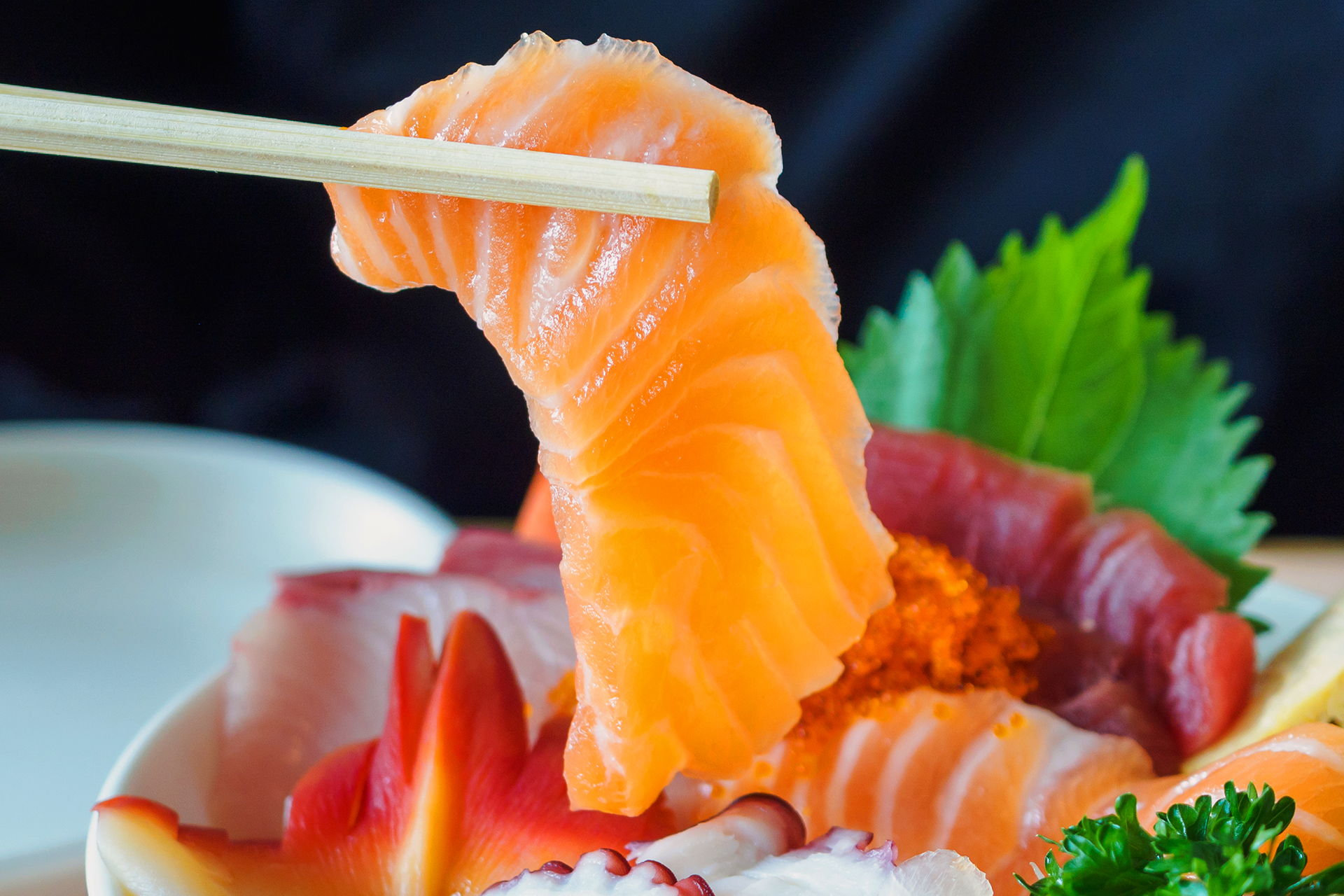 Sashimi Salmon