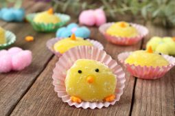 Lemon Mochi Chicks