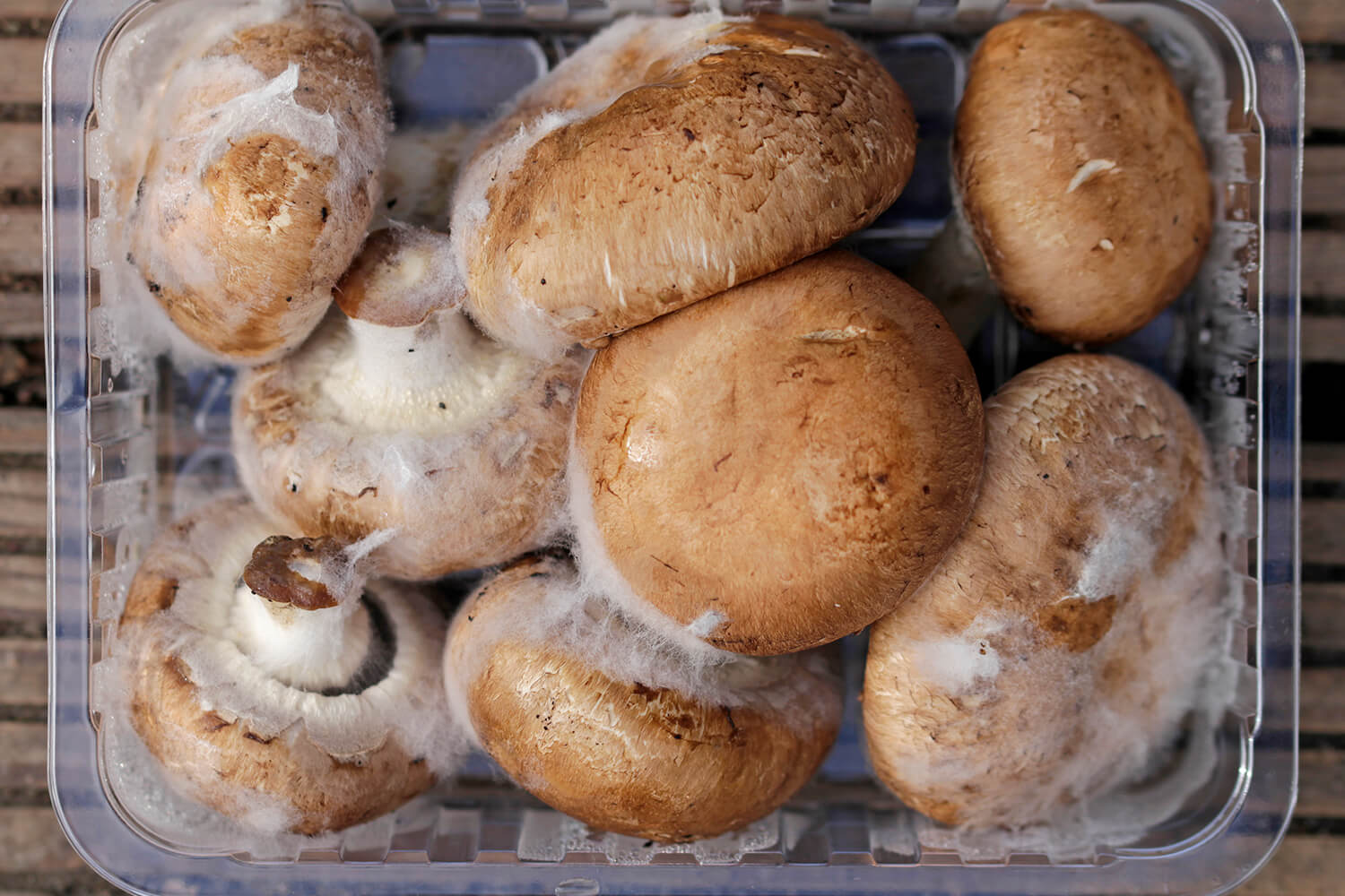 How To Keep Mushrooms Fresh - Askexcitement5