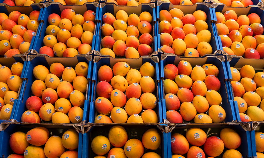 Aussie Mangoes: Mango