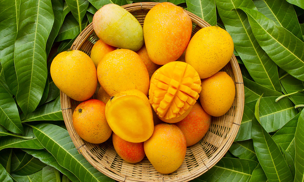 Aussie Mangoes: Mangoes open