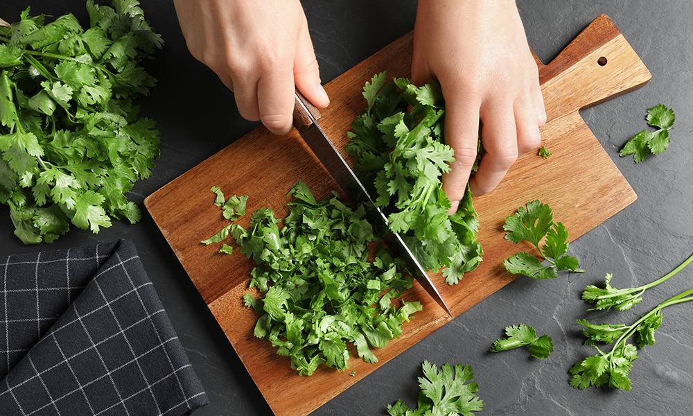 Asian Herbs to Grow Coriander