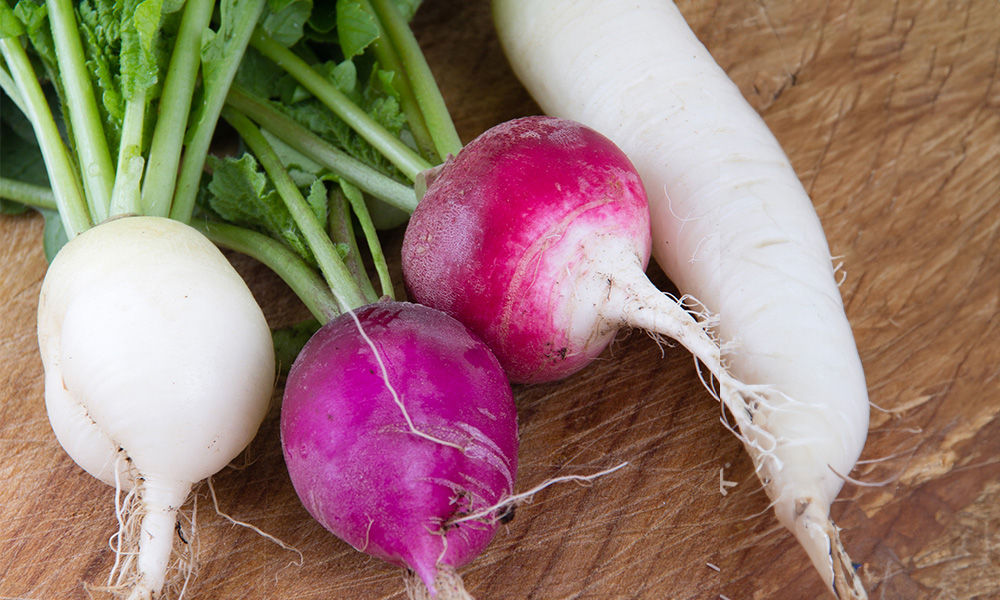 Radish and Daikon