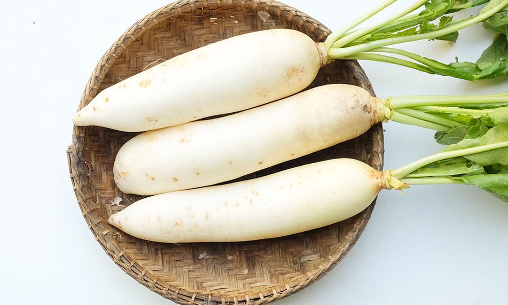 Picking and Storing Fresh Radish