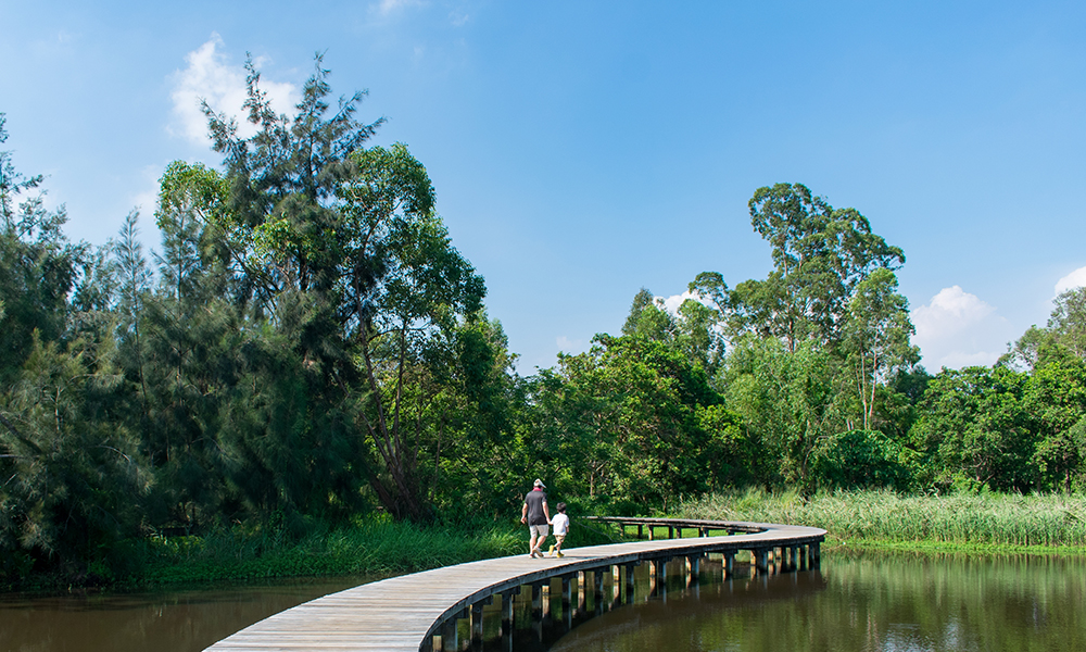 Hong Kong Wetland Park