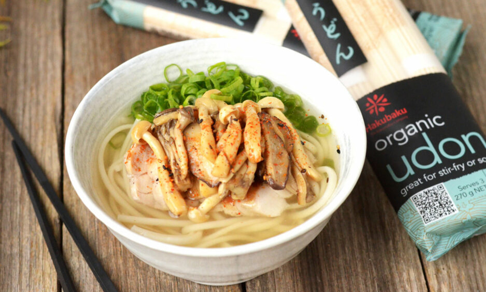 Udon Noodle Soup