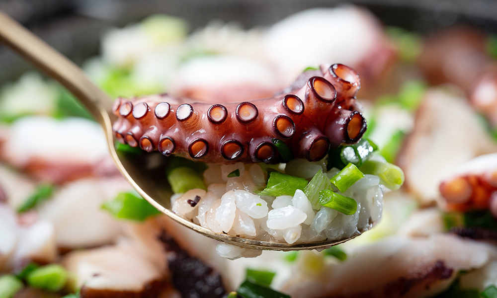 Spoonful of rice and braised octopus