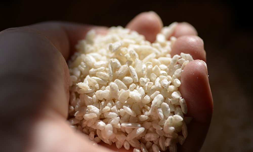 Koji the secret ingredient of japanese fermented foods what is koji