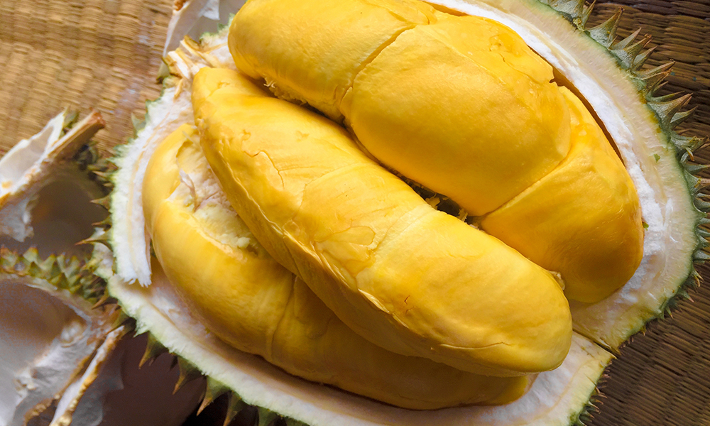 Mao Shan Wang durian