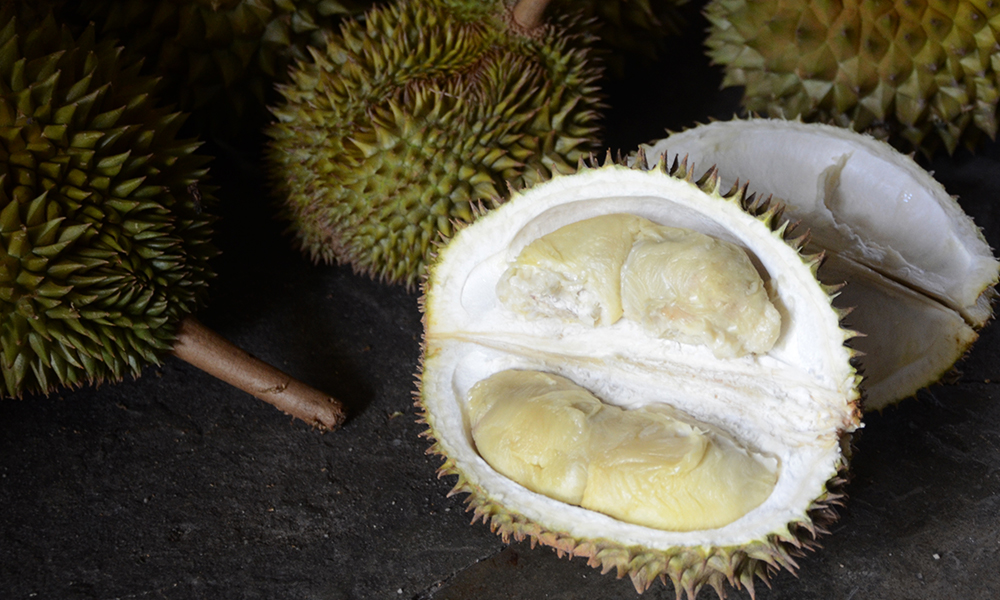 Golden Phoenix Durian